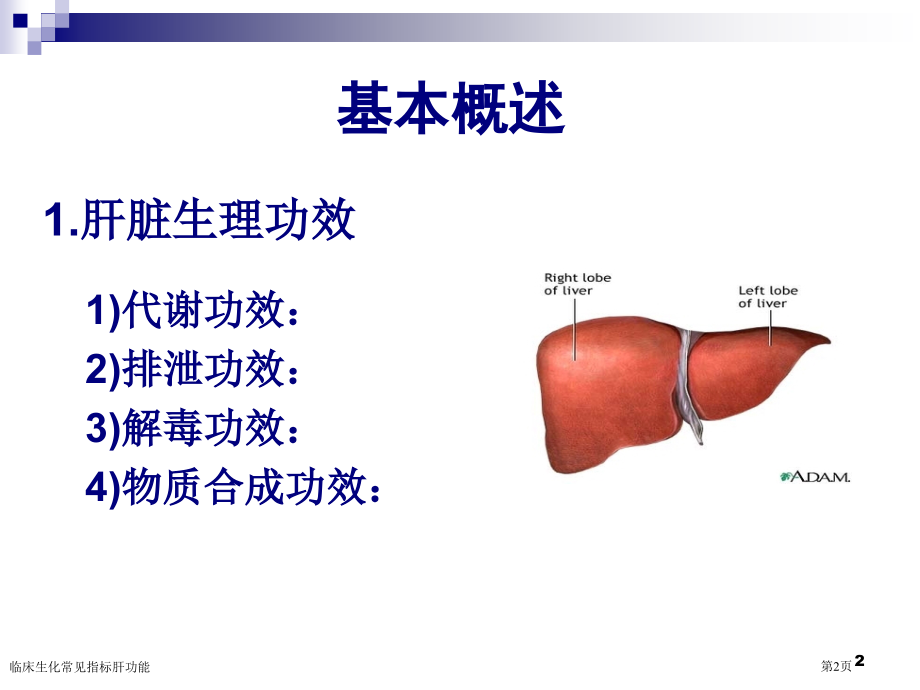 临床生化常见指标肝功能专家讲座.pptx_第2页