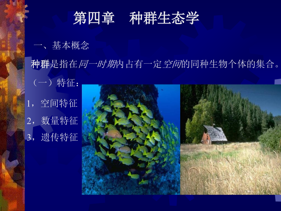 种群生态学46.pptx_第1页