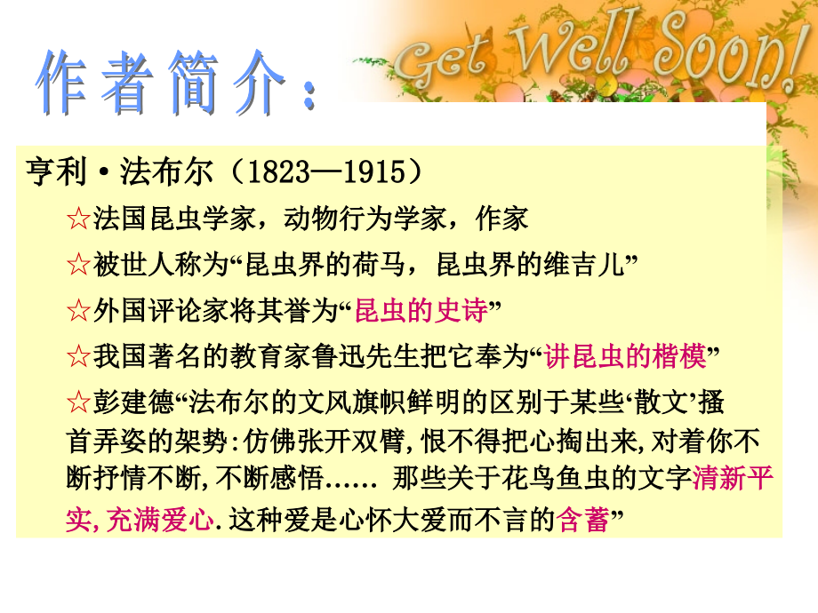 昆虫记精美.pptx_第2页