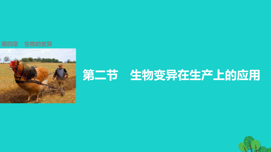 高中生物---生物变异在生产上的应用-浙科版必修.pptx_第1页