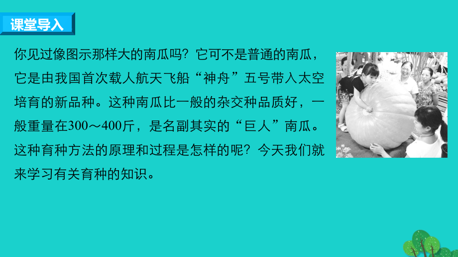 高中生物---生物变异在生产上的应用-浙科版必修.pptx_第2页