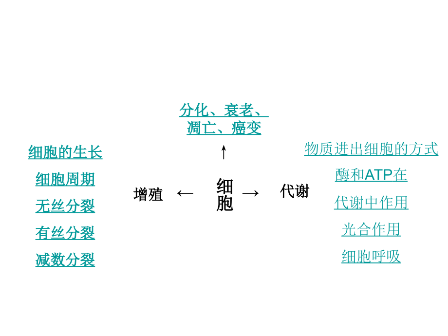 细胞的增殖与分化高中一年级生物.pptx_第2页