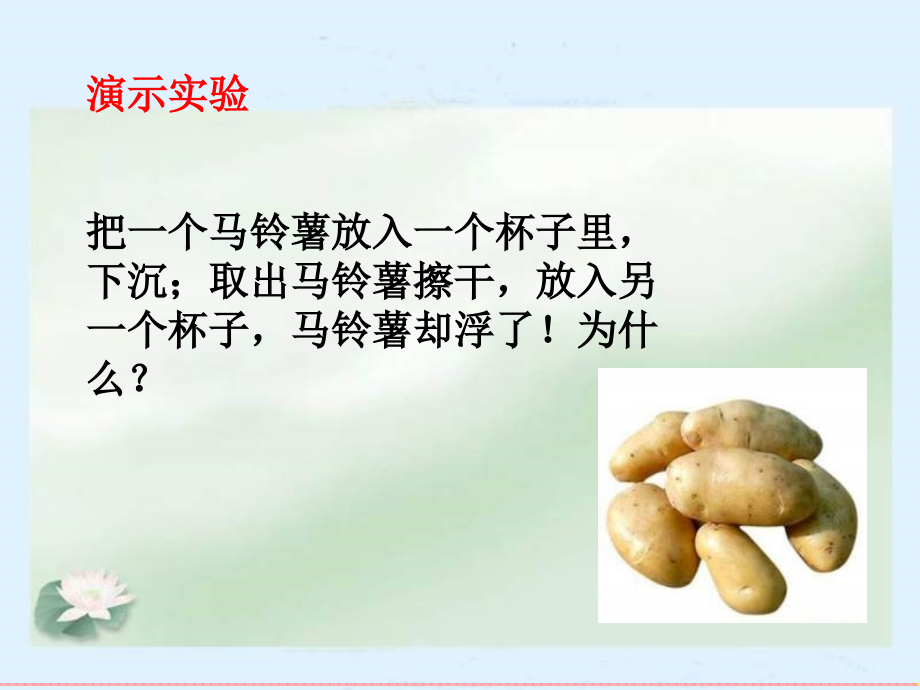 教科版五级科学下册马铃薯在液体中的沉浮.pptx_第2页