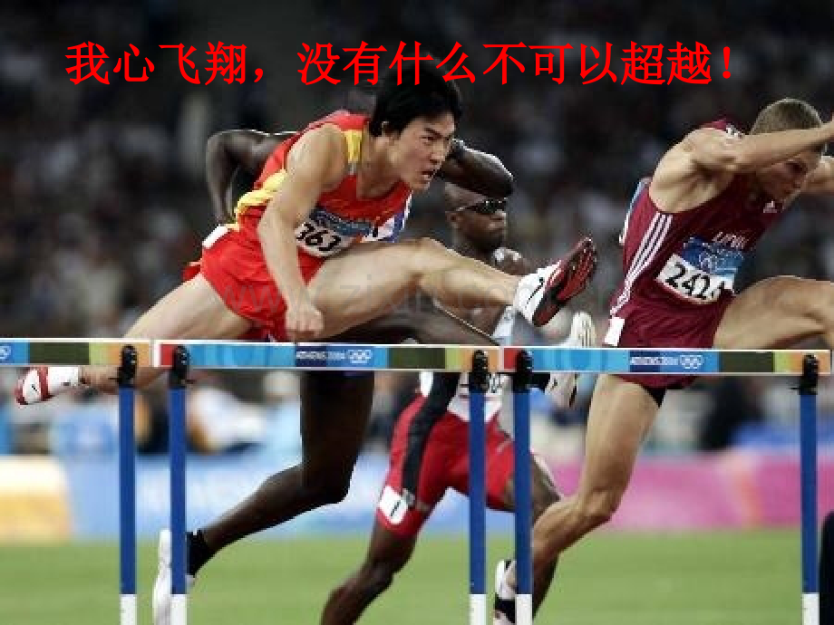细胞的能量通货——ATP.pptx_第1页