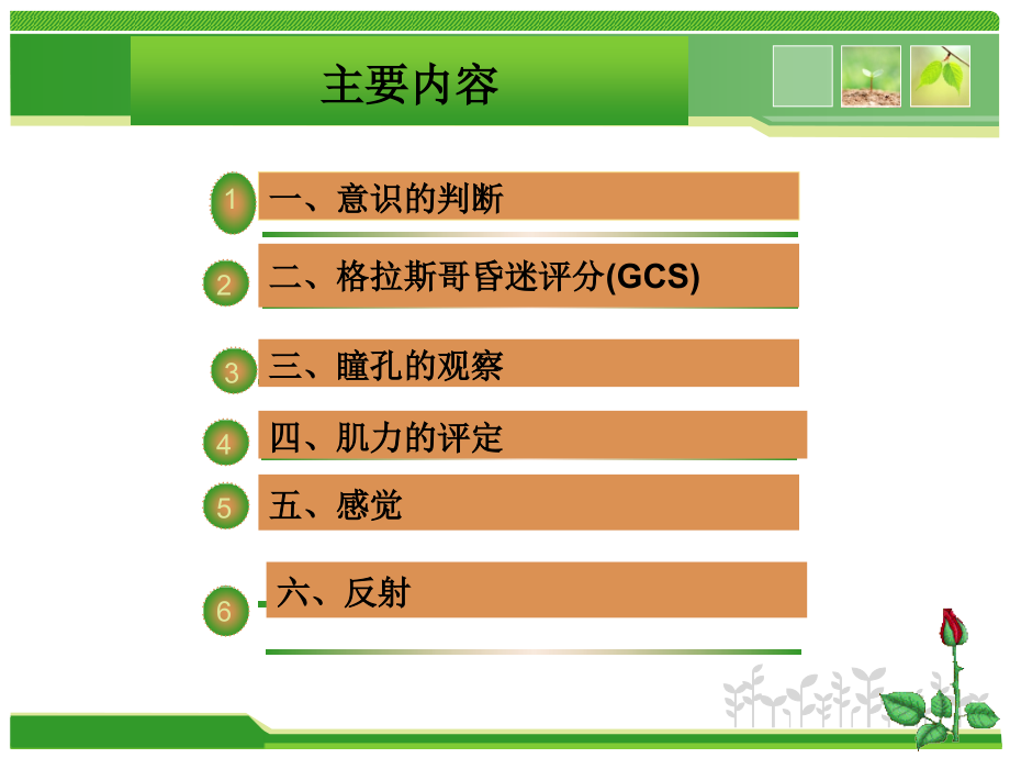 颅脑外伤护理体检及异常体征.pptx_第2页