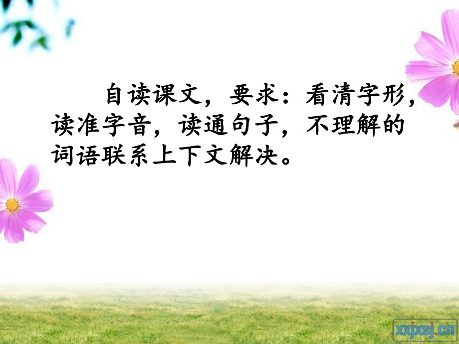 花瓣飘香时.pptx_第2页