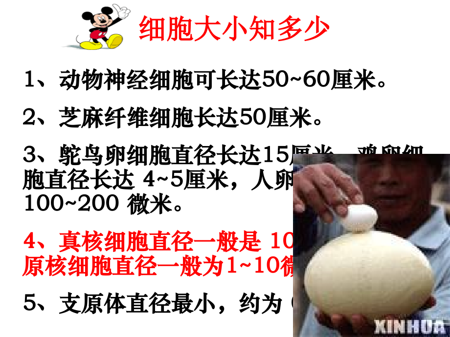 细胞的多样性和统一性0.pptx_第1页