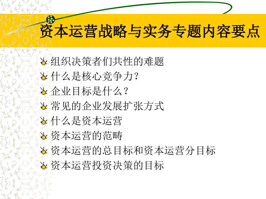 投资与资本运营.pptx_第2页