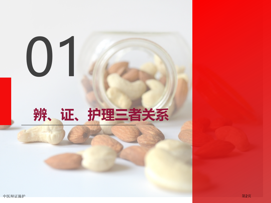 中医辩证施护专家讲座.pptx_第2页