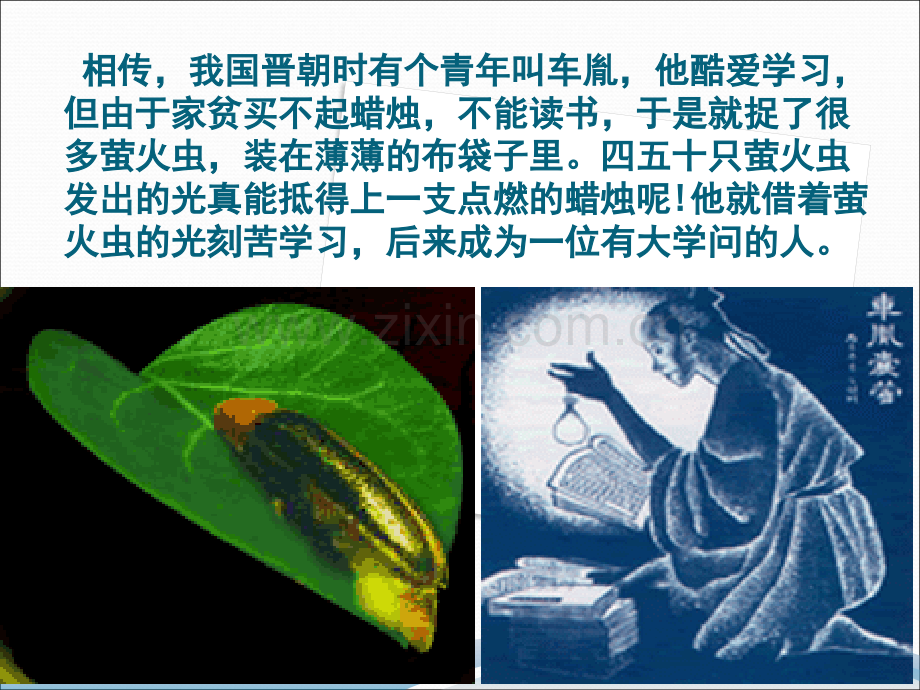 细胞的能量通货——ATP23.pptx_第1页