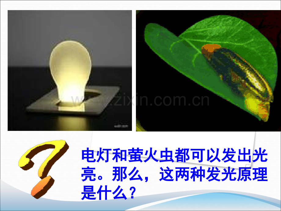 细胞的能量通货——ATP23.pptx_第2页