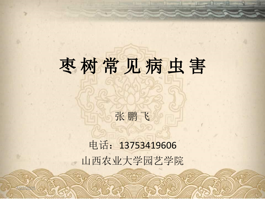 枣树常见病虫害.pptx_第1页