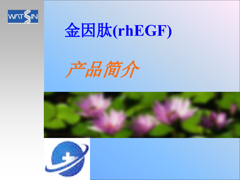 金因肽烧伤科临床研究091012.pptx_第2页