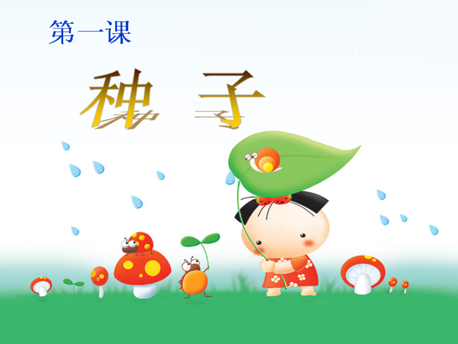 种子课件.pptx_第1页