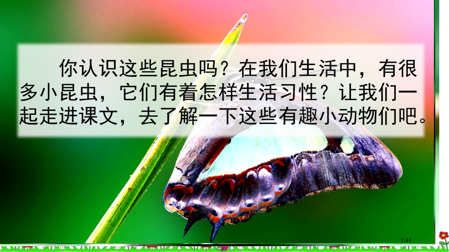 4昆虫备忘录新版市名师优质课赛课一等奖市公开课获奖课件.pptx_第1页