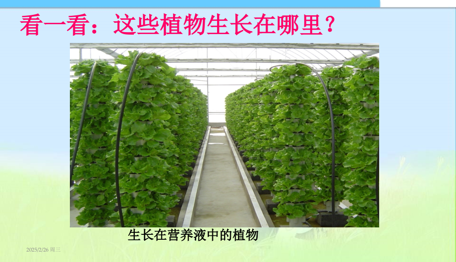 课题溶液的形成中学.pptx_第1页