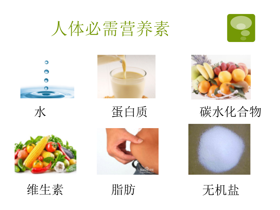 科学饮食每一天.pptx_第2页