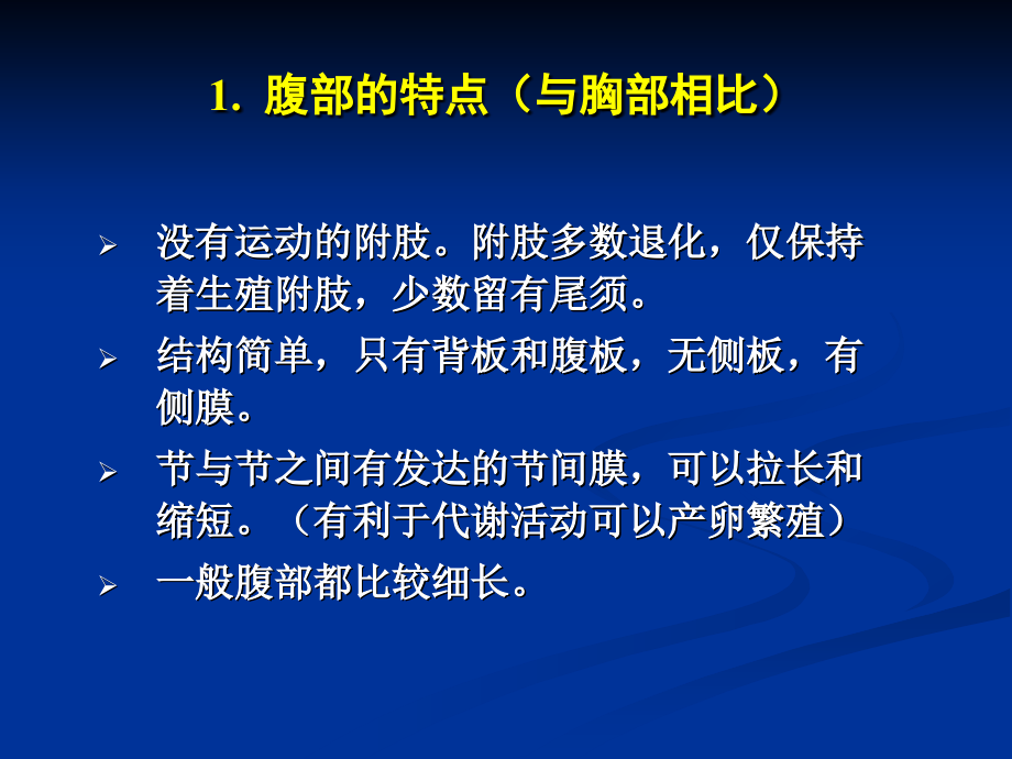 昆虫的腹部.pptx_第2页