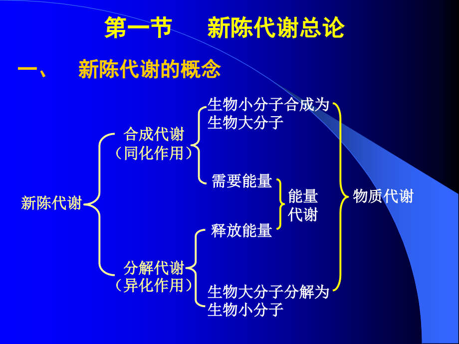 第6章--代谢总论与生物氧化.pptx_第2页