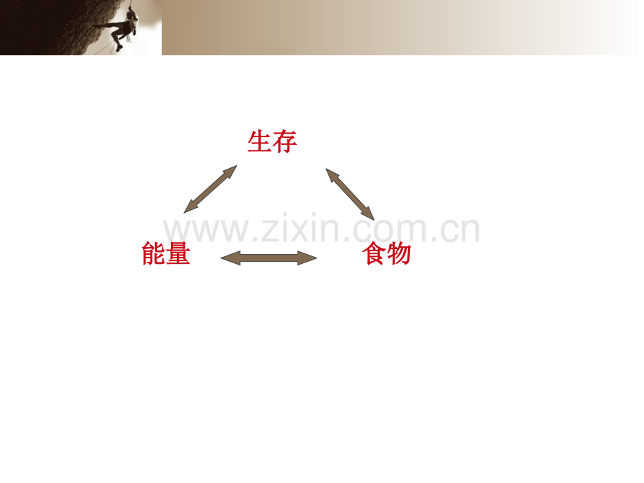 进化生态——捕食理论.pptx_第2页