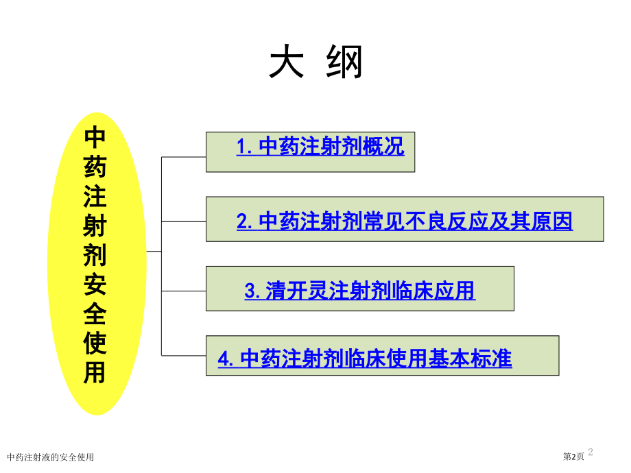 中药注射液的安全使用专家讲座.pptx_第2页