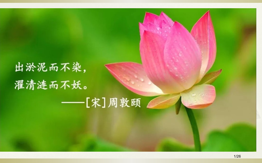 三年级荷花市名师优质课赛课一等奖市公开课获奖课件.pptx_第1页