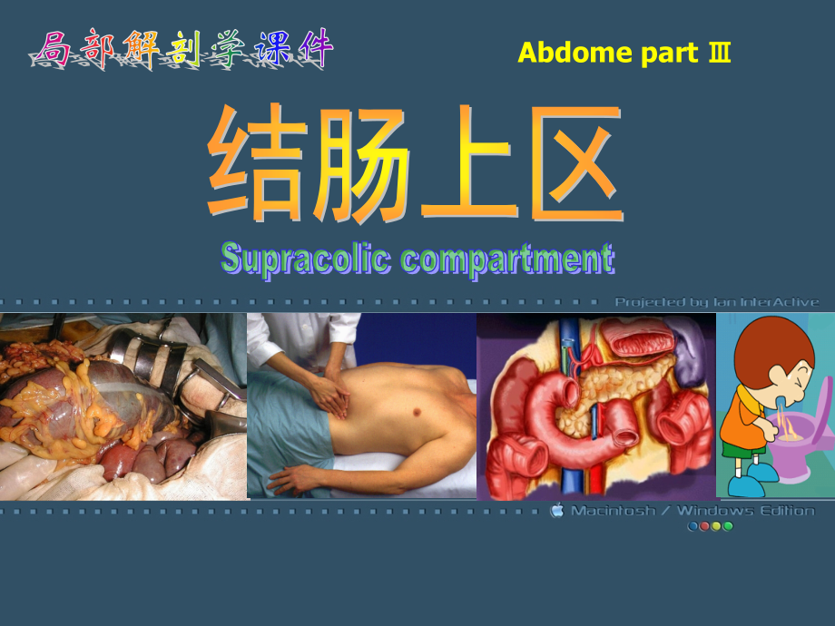 结肠上区局部解剖.pptx_第1页