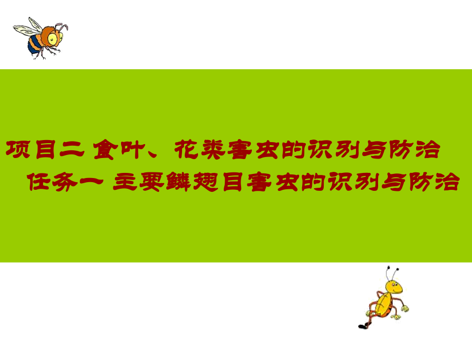 食花叶害虫的识别与防治一.pptx_第1页