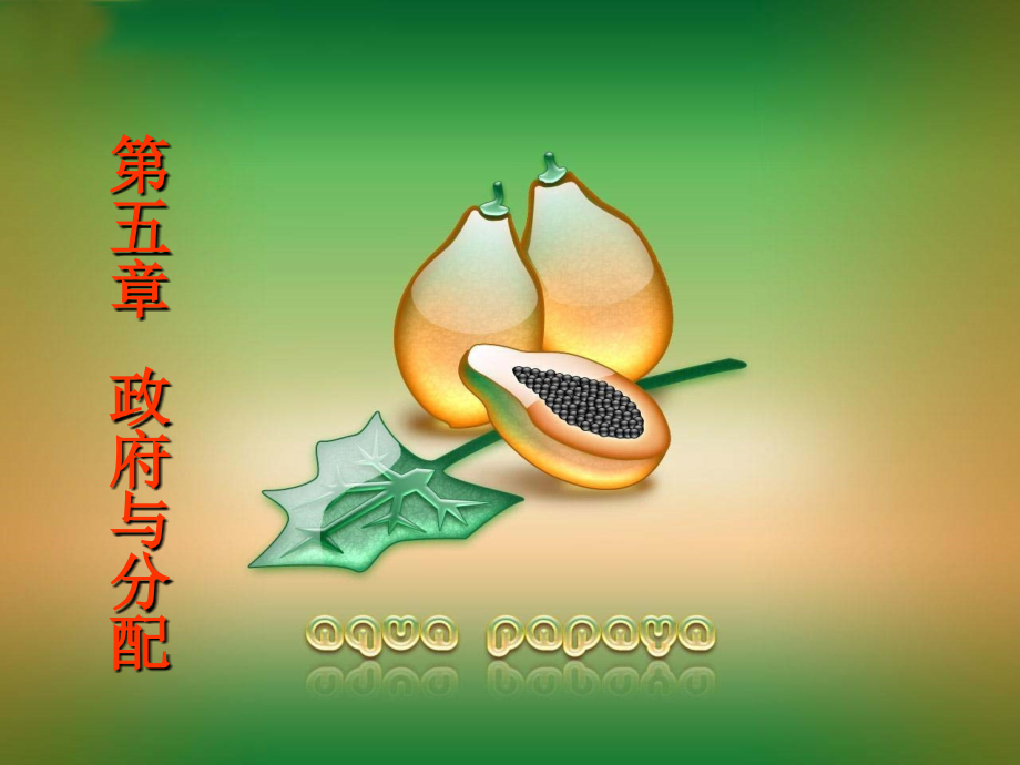政府与分配.pptx_第1页