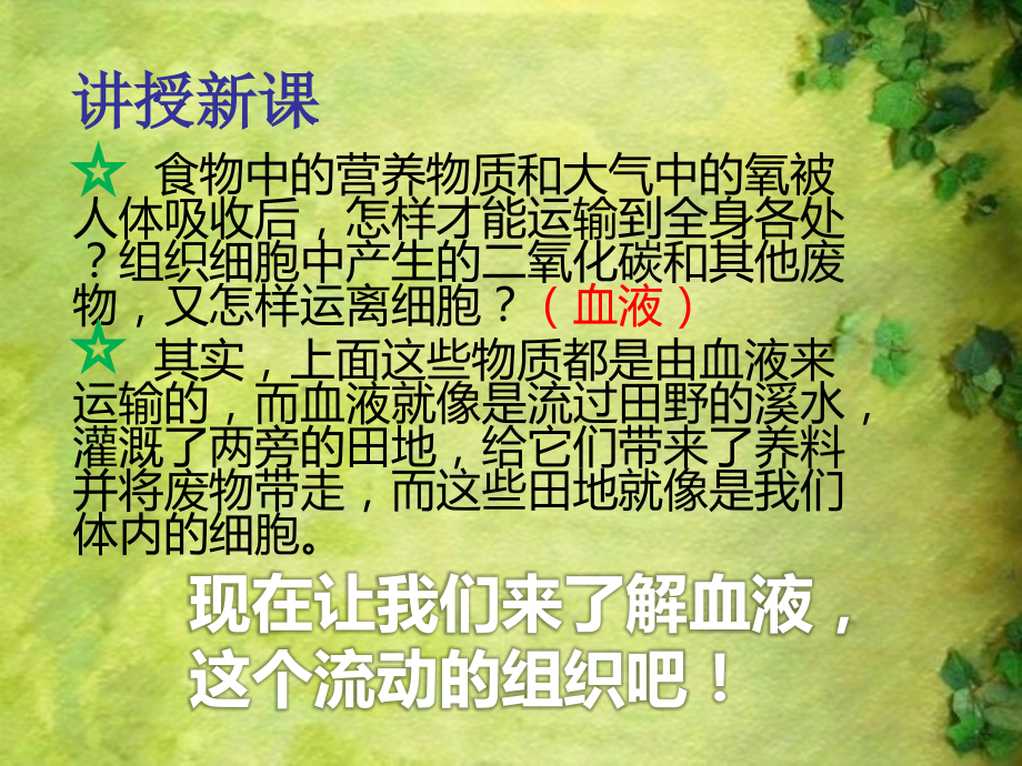 流动的组织.pptx_第1页