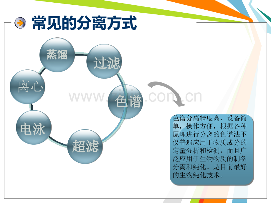 超高效液相色谱的应用现状和发展前景.pptx_第2页