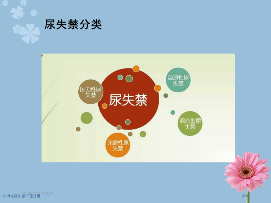 压力性尿失禁护理查房.pptx_第2页