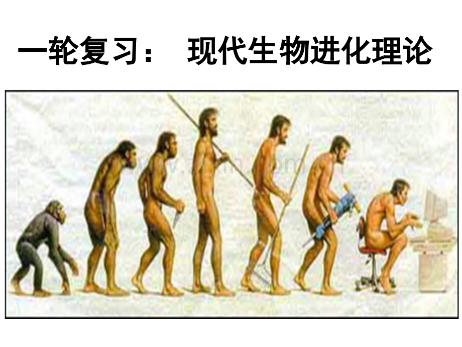 进化一轮复习.pptx_第1页