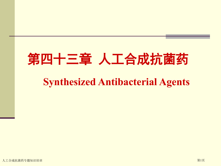 人工合成抗菌药专题知识培训专家讲座.pptx_第1页