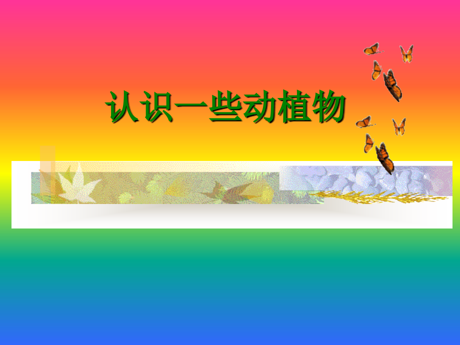 认识一些动植物.pptx_第1页