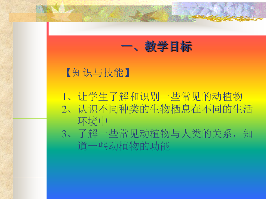 认识一些动植物.pptx_第2页