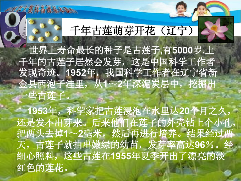 种子植物时.pptx_第1页