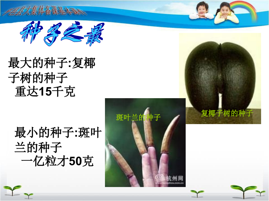 种子植物时.pptx_第2页