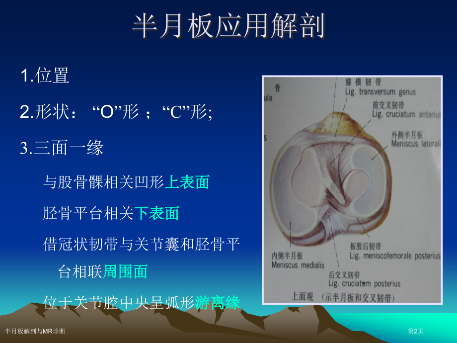 半月板解剖与MR诊断专家讲座.pptx_第2页
