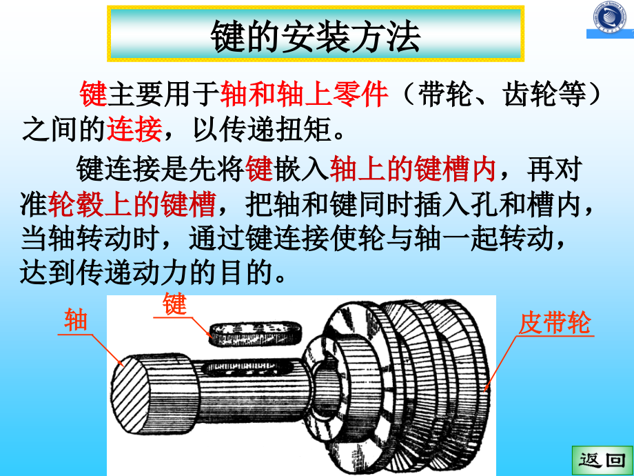 键的基本知识.pptx_第1页