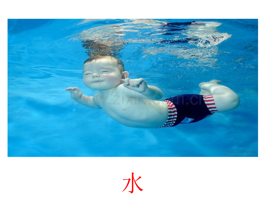 细胞生活的环境新授课.pptx_第1页