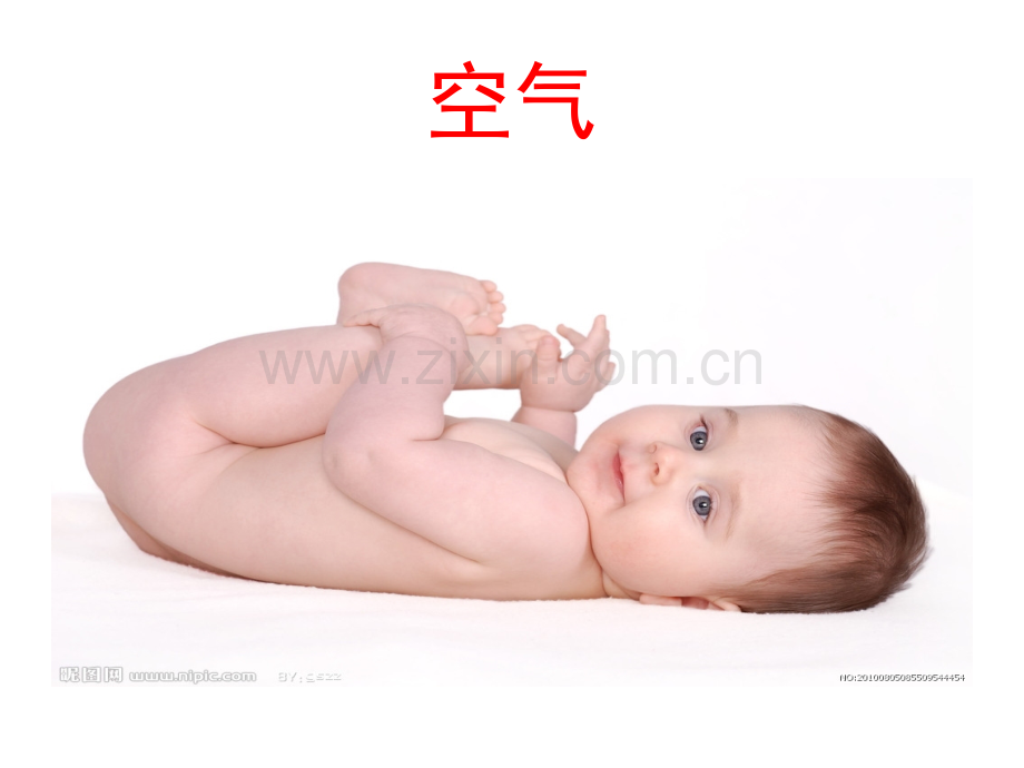 细胞生活的环境新授课.pptx_第2页