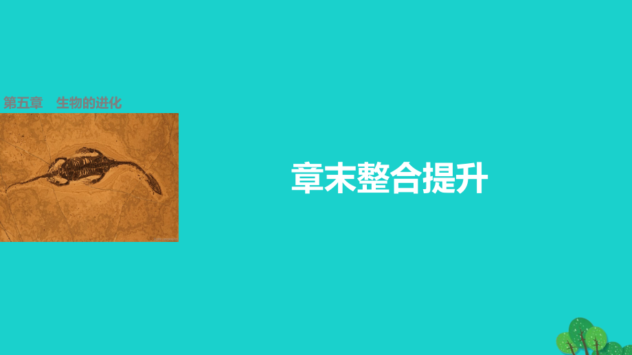 高中生物--生物的进化章末整合提升-浙科版必修.pptx_第1页