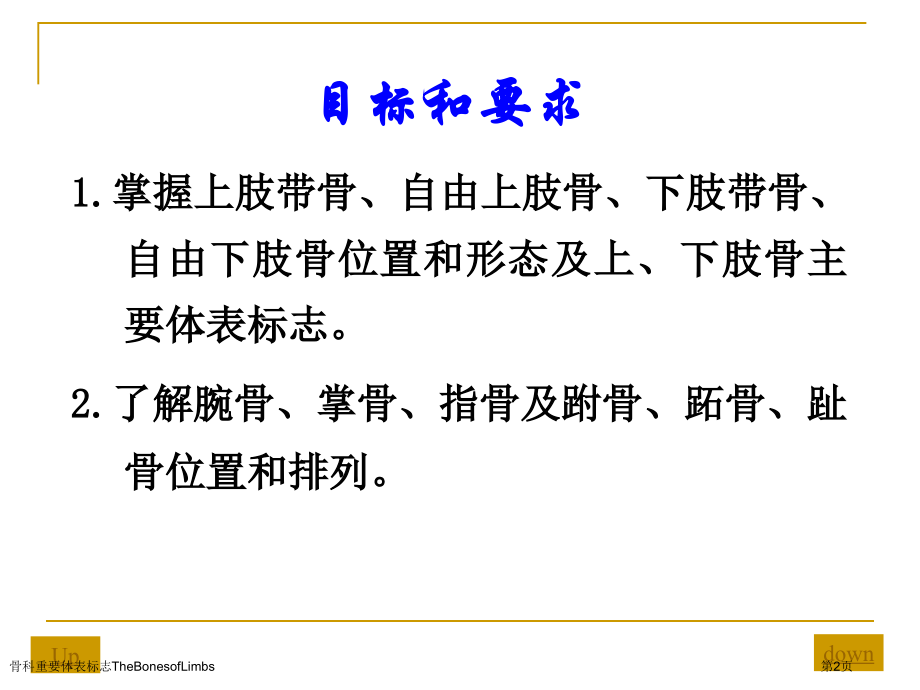 骨科重要体表标志TheBonesofLimbs专家讲座.pptx_第2页