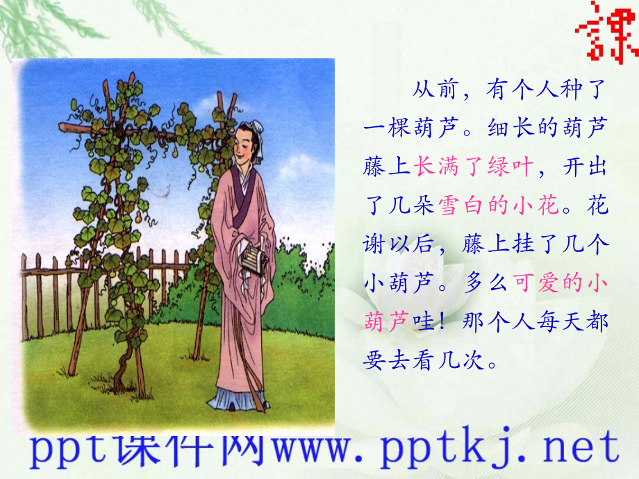 西师大版我要的是葫芦教学.pptx_第2页