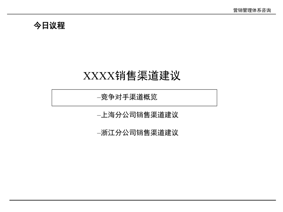 营销渠道建议.pptx_第2页