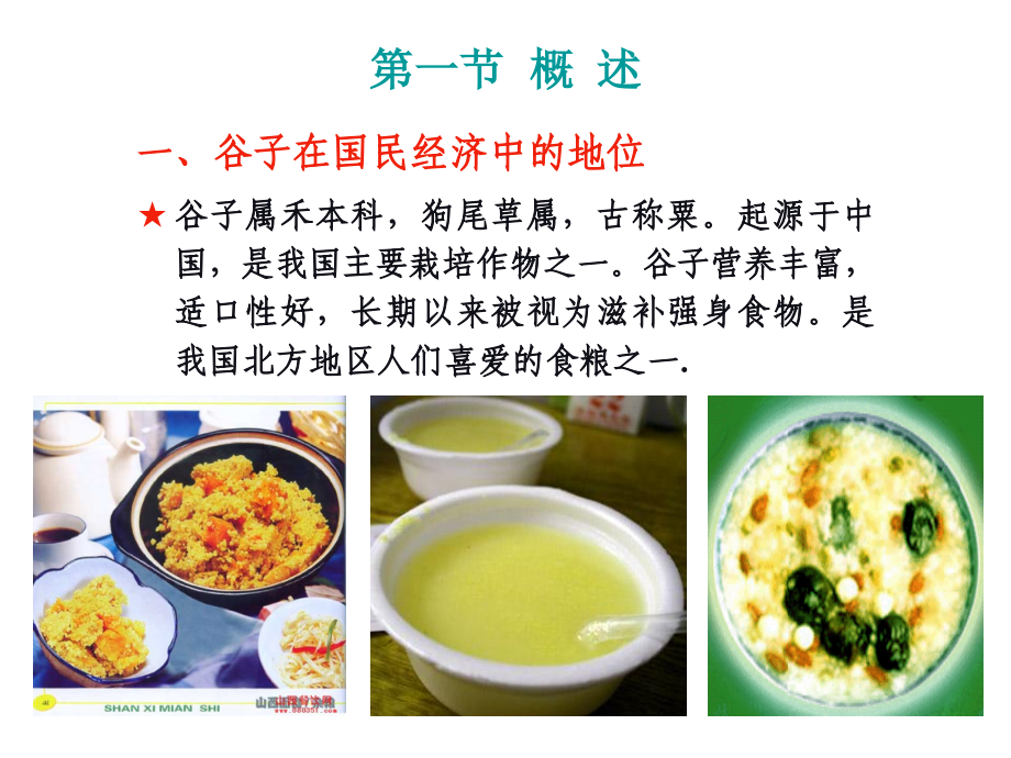 谷子millet.pptx_第2页