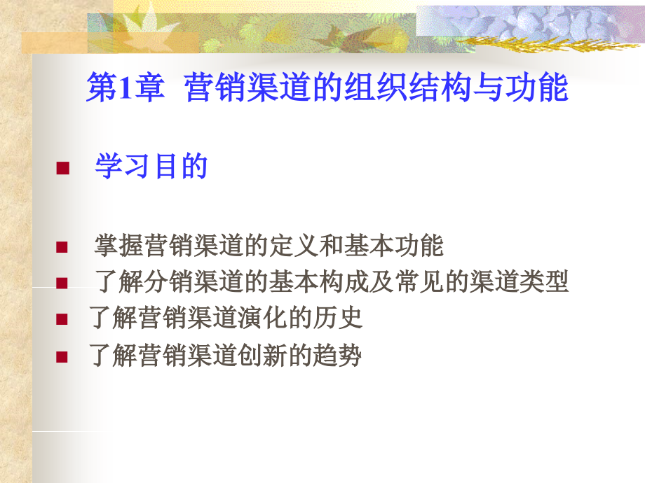 营销渠道的组织结构与功能剖析.pptx_第1页