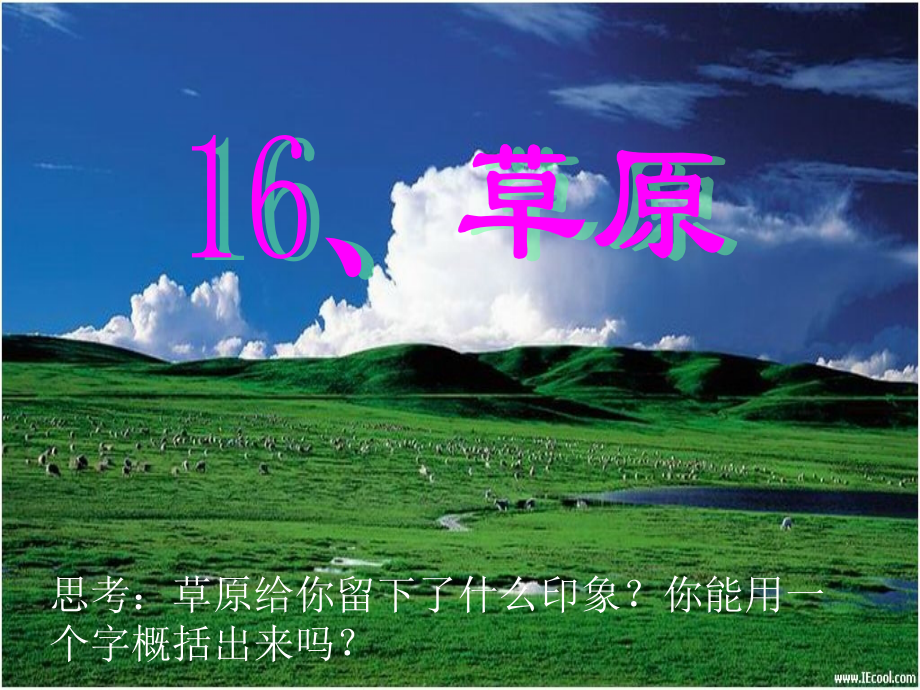 苏教版六年级语文上册草原.pptx_第1页