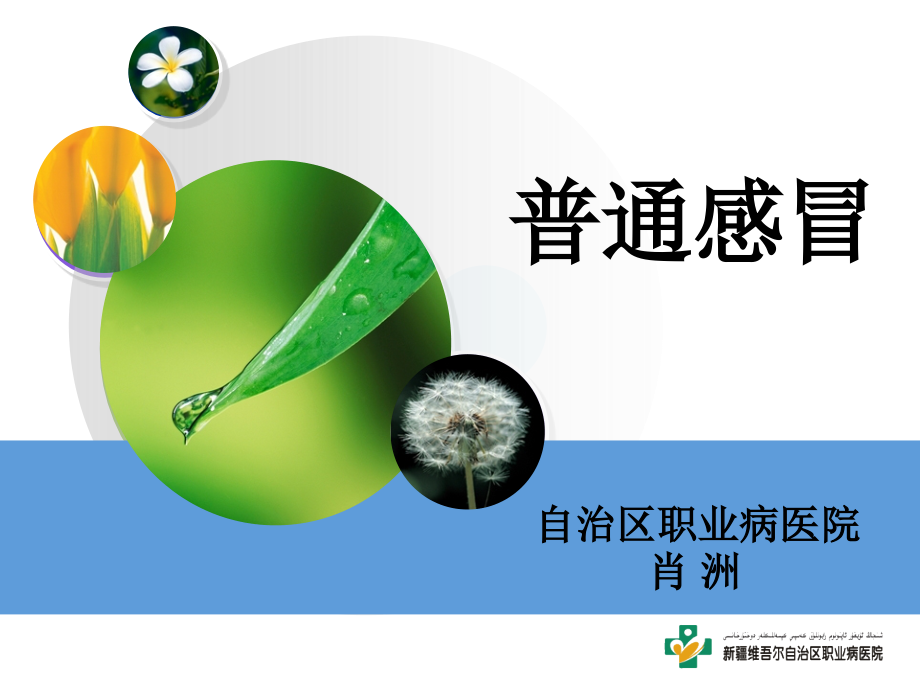 普通感冒.pptx_第1页